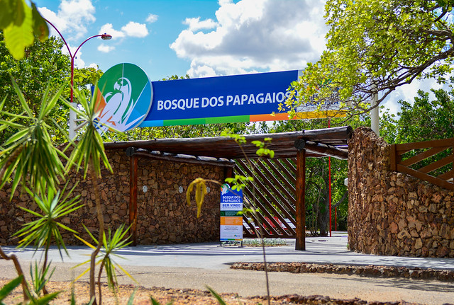 Bosque Dos Papagaios Trilhas Rvores E Animais Em Boa Vista