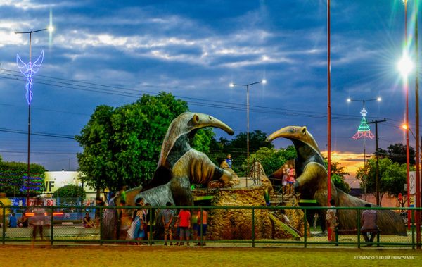 A praça do Cidade Satélite tem uma edição da selvinha amazônica