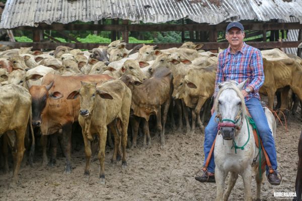 Entrega de gado na comunidade indígena Barata