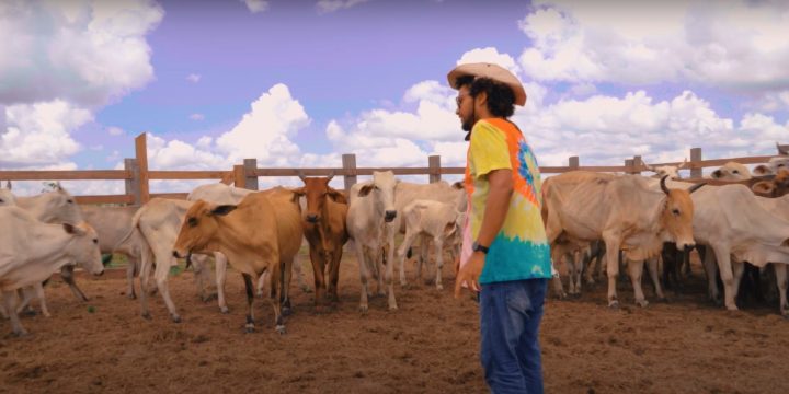 Rolezinho do Bem fala sobre Bovinocultura em Roraima