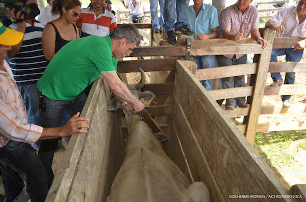 No Dia Nacional da Pecuária, Romero Jucá conta como ajudou no desenvolvimento da atividade em Roraima