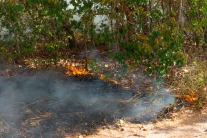 Romero Jucá conversa sobre os riscos de incêndios em Boa Vista